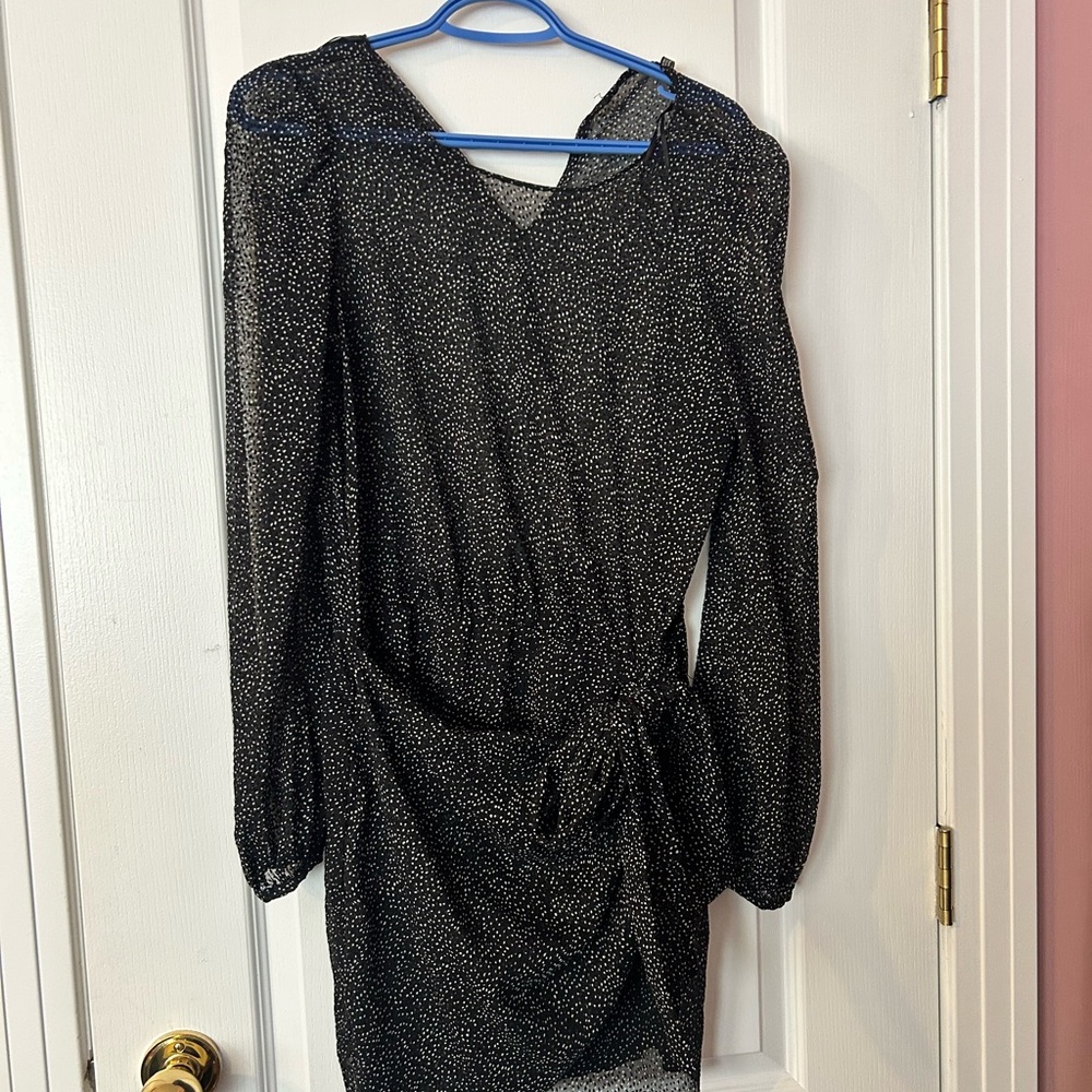 Zara Swiss Polka Dot Tie Dress